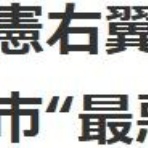 鳶の羽