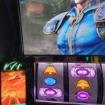 笹気味じゆうちょう