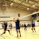 代表敗戦の議論と、日本の女子選手の身長を巡る真実