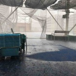 『大海原』の画像