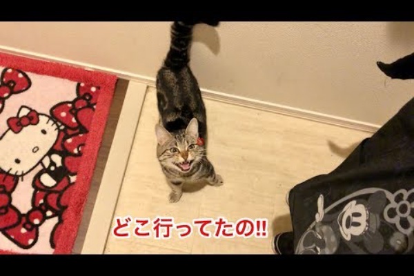 姐さんはクパァ 年04月