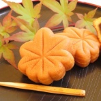 二足のわらじ～薬剤師×キャリアコンサルタント～