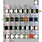 縁起の良い立ち姿で参拝を