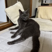 あなたが居なくなって3年が経ちました