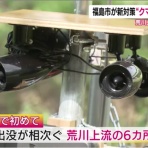 ボルゾイ暮らしトコトコ新聞2025