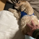 お疲れさまでした