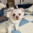 ❇️ルチアくん❇️