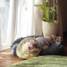 途方に暮れてた話。