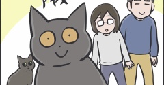 毎日が発見ネット掲載のお知らせ