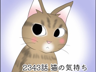 あんこ＆麦2343 猫の気持ち