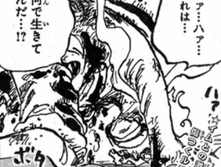 【悲報】ワンピースの主人公ルフィさん「ハァ…ハァ…おれは…何で生きてんだ…！？」