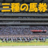 『三種の馬券　１月１７．１８日　検証』の画像