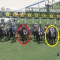 7/6小倉 2歳新馬芝1800m【コロナドブリッジ≪初戦≫】