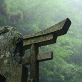 神社で拝んだら異世界に飛ばされたのかもしれない