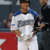 【市川トレード】 ハムファン集合