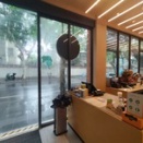 上海スターバックス#35「上海天平邻里滙店」仏租界地のプラタナス並木を見下ろす。国際礼拝堂はすぐ裏 EP1140