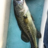 『9月22日 琵琶湖』の画像