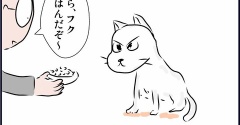 飼い猫にも好き嫌いがあると知った日