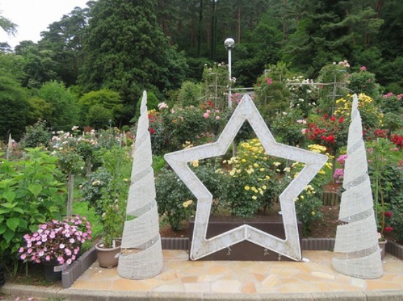 花巻温泉バラ園