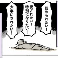 引っ越し5年目の気持ち③【外に求めない】