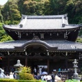 三室戸寺の紫陽花2026