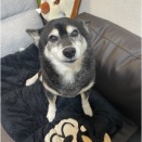 ソファに座ってたら、お父さんが帰って来たのよww