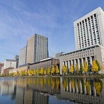 日々の気づき