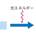P20　光の強さと光合成速度の関係