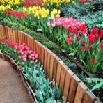 大阪　団塊世代の趣味と生活のブログ。