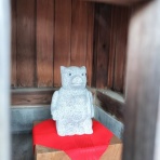 狸旅記録　～たぬたび～