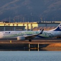 全日空 B737｢ ANAふるさとJET｣~岩国錦帯橋空港～