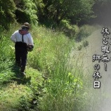 『肌寒い季節の中、薄幸の蝶のように悲しげで愚かな話』の画像