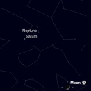 次回のお月見@代々木公園は11/26(水)開催予定