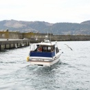 2025年11月　金華山　６