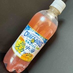 ジュース愛好家のNewブログ