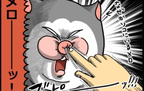 恐ろしく早い鼻クソの先にいた猫