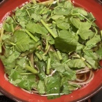 働きながらのくいしんぼうプチ薬膳ワーママ日記