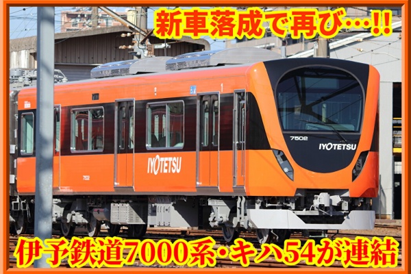 山本亮平『呉須染付蓮華』初期伊万里 李朝 古唐津 黒高麗 オンギ くらわんか 黒高麗人参エキス末480mg濃縮配合 黒参サプリ(30日分) 錦山産4