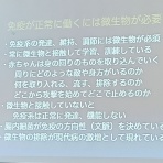 Cafe de arte Tabei 田部井辰雄のブログ