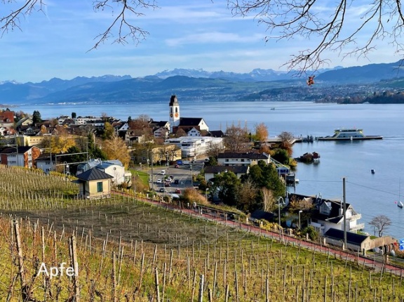 今週は晩秋、来週は雪🇨🇭