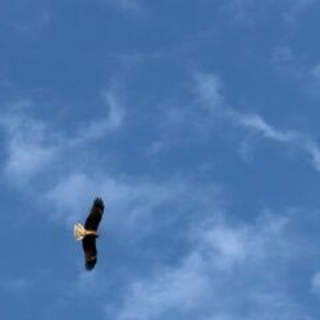 不登校365日24時間　フリースクール元気学園 ブログ