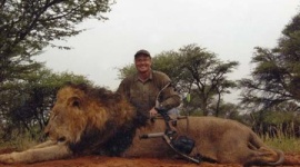 ジンバブエの人気者ライオン殺害…アメリカ人狩猟愛好家の行方追う