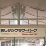 らいふ川越　有料老人ホームふれ愛合日記