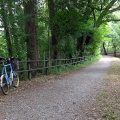 久しぶりの自転車担ぎ!!  新治&三保林道