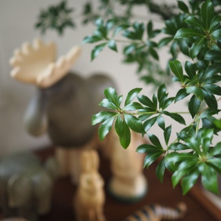 Jamのおうち　＊ごはんと器とインテリア＊