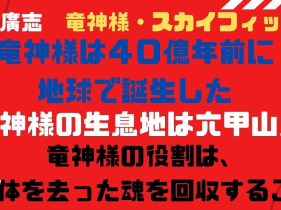 坂本廣志　竜神様・スカイフィッシュ 竜神様の進化の歴史 竜神様の生態 竜神様の役割 宇宙人との関係 宇宙人の魂の救済