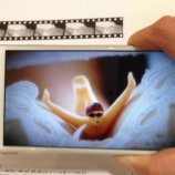 『２ヵ月で完売した「タニマダイバー」の第二弾発売記念 「タニマダイバー公式写真集 ふくらみの引力」に AR動画アプリ「marcs（マークス）」が採用』の画像
