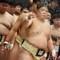 東日本学生相撲選手権大会結果報告