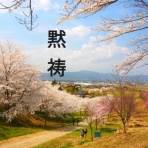 #空でつながる Dearest Fukushima 震災復興応援