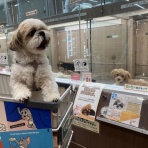 静岡県藤枝市 ペットショップワンラブ カインズ藤枝店のスタッフブログ